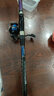 达亿瓦（DAIWA）2019款 LBT C SHORTPOWER 短投竿远投竿 海竿投竿 多用途钓鱼 30-330 实拍图
