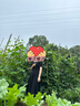 尚都比拉短袖连衣裙女夏季时尚通勤中长款a字裙钉珠收腰显瘦裙子 黑色 M 实拍图