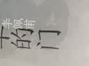 水陆精灵 中国珍稀濒危两栖爬行动物手绘观察笔记（“狐主任”张辰亮推荐） 实拍图