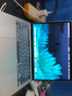 苹果 Apple MacBook Pro/Air 二手苹果笔记本电脑 办公设计游戏 M1/M2/M3/M4 京选电脑 | 一机一检 20年13寸【带触控条】i5-8G-256G 实拍图