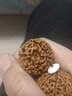 智初 精挑尼泊尔大金刚菩提子手串爆肉沉水姜黄皮新籽原籽七八瓣佛珠 8瓣29mm以上9颗【精品树王籽】 实拍图
