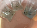 森悠（SARYOR）孔雀鱼纯种观赏鱼小型淡水好养热带鱼活体斑马金鱼凤尾鱼繁殖 豹点2对+1对防损【3公3母】 实拍图