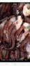 新鲜鱿鱼须鲜活冷冻二本足章鱼生鲜尤鱼铁板鱿鱼串腿海鲜商用批发 500g 6斤装(去牙去眼） 晒单实拍图