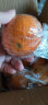 臻瀚伯农江西脐橙手剥橙当季时令水果甜赣州脐橙当季橙子 4.5斤装（单果130-150g）标准果 实拍图