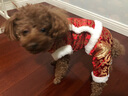 华元宠具（hoopet）小狗狗过年唐装喜庆衣服小型犬四脚泰迪比熊吉娃娃宠物秋冬季服装 双层加厚四脚唐装 M:参考体重4-7斤 实拍图
