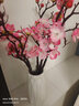 凉笙 仿真花梅花客厅腊梅套装假花家居摆件书房装饰盆栽花艺套装 5支粉色梅花+淑女小号白色花瓶 实拍图