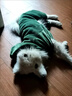 阿莫尔宠物小狗狗衣服秋冬装加绒加厚保暖泰迪比熊小型犬四脚衣猫咪衣服 恐龙（四脚） S-建议2-4斤内 实拍图