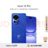 华为nova 12 Pro 前置6000万人像追焦双摄 512GB 12号色物理可变光圈 鸿蒙智慧通信智能手机nova系列 实拍图