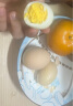 志高（CHIGO） 煮蛋器蒸蛋器家用电蒸锅双层定时预约多功能早餐煮蛋机蛋羹神器 防干烧 可煮16个蛋便捷式 可煮16蛋+钢碗【一键开关】 双层 实拍图