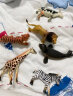 Wenno儿童生日礼物仿真动物玩具模型男女宝宝认知野生动物园恐龙摆件玩具 美颌龙 实拍图