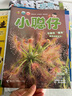 小聪仔科普版杂志2025年1-12月【全年/半年订阅/2024/2023年1-12月/幼儿版启蒙版可选】0-4-8岁婴儿幼儿兴趣智力培养儿童科普画报非过刊K 现货【全年珍藏送礼品】科普版24年1-12 实拍图