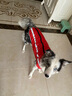 拉维佩特（LOVINGPET）狗狗衣服大型犬 保暖金毛狗衣服冬季柯基拉布拉多狗衣服中型犬 红色 3XL 建议26-32斤 实拍图