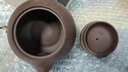 尊壶 宜兴原矿紫砂壶  手工泡茶壶西施壶茶具泡茶器 大红袍西施壶 实拍图