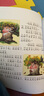 幼儿睡前故事（套装共2册）/幼儿成长经典阅读 实拍图