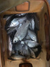 川泽轻口小碎目鲫鱼漂高灵敏纳米浮漂超灵敏醒目浮标防风浪走水顿口漂 DF-07 3号吃铅1.8克 3目加粗 葫芦型 灵/稳/准 实拍图