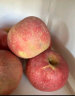 旭耕 烟台有机苹果4.8斤 有机认证红富士水果脆甜多汁健康轻食生鲜 富士有机苹果 80-85mm 实拍图