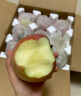 洛川苹果陕西延安红富士时令苹果水果礼盒糖心苹果生鲜脆甜整箱好吃新鲜 10斤爆卖70-80mm（净重8.5斤） 晒单实拍图