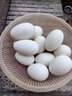 顺丰 鲜鹅蛋 农家散养土鹅蛋生鹅蛋 单个100-140g 12枚 1.2kg 起 实拍图