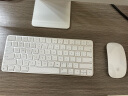 Apple/苹果2023款 iMac 24英寸银色 4.5K屏M3(8+10核)16G 512G一体式电脑Z19E0005Z【定制】 晒单实拍图
