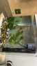 YEE小鱼缸水族箱高清玻璃小型客厅桌面懒人非免换水生态过滤鱼缸38cm 晒单实拍图