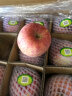 京鲜生 洛川苹果 陕西红富士苹果5斤中果 单果215g+ 生鲜水果 源头直发 晒单实拍图