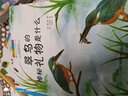 身边的自然课4：翠鸟的神秘礼物是什么 实拍图