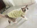 嬉皮狗（hipidog）秋冬季狗狗马卡龙系列可牵引简约风纯色宠物马甲绒衣猫咪保暖衣服 实拍图