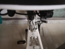 凤凰（PHOENIX） 折叠自行车女男儿童学生女士超轻便携免安装载变速折叠小轮单车 【双减震碟刹】20寸单速五刀白色 实拍图