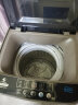 申花（SHENHUA）洗衣机全自动波轮家用小型出租房宿舍蓝光健康洗护智能风干洗脱一体XQB65-818A咖啡金 实拍图
