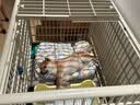 KimPets狗厕所小型犬宠物狗专用狗砂盆尿尿防踩屎便盆比熊不锈钢拉屎神器 黄色【网架间距18mm 适合6-12斤宠物】 实拍图