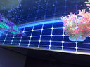 欧宝 金龙鱼缸 玻璃生态水族箱 屏风 大型鱼缸客厅办公室别墅定制鱼缸 150x50x90/68底过滤 实拍图