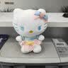 OIMG正版哈喽kity公仔毛绒玩具hellokitty公仔凯蒂猫玩偶KT猫咪生日礼 糖果kt 12寸约33cm【精美礼盒装】 实拍图