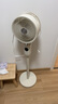 西屋【风扇踏青放价】空气循环扇家用电风扇轻音低噪节能自动摇头立式智能遥控定时落地扇对流涡轮扇 米白色+【12挡风+香薰+负离子+语音+装饰灯】 实拍图
