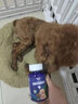 派迪诺 宠物狗狗猫咪鲨鱼软骨素钙片健骨补钙泰迪金毛幼犬钙大型犬柯基 软骨素钙片1瓶300片+深海鱼油片1瓶200片 实拍图