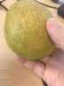 锁季新疆库尔勒香梨现摘新鲜水果脆甜香妃全母梨孕妇水果春节礼盒送礼 净重8斤商超大果 单果120g+ 实拍图