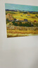 梵高丰收油画世界名画客厅沙发背景墙装饰画大气餐厅壁画三联挂画 荷兰的花坛 50*40CM布纹膜单联画 实拍图