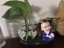 简潜（JIANQIAN）琅璃绿萝水培树脂草帽小和尚创意花瓶家居酒店铜钱草树脂花盆花瓶 书 实拍图