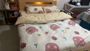 百歌妮单人双人床上用品被子被芯+四件套+枕芯被褥全套装褥子学生宿舍 欢乐小狗 被芯1.8*2.2m 6斤 九件套 实拍图