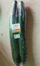 東昇供港刺青瓜500g 黄瓜 凉拌炒菜  广州蔬菜新鲜配送 实拍图