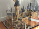 乐高（LEGO）积木71043哈利波特-霍格沃兹城堡(豪华版) 旗舰限定生日礼物 晒单实拍图
