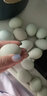 宛味宝农家绿壳土鸡蛋新鲜乌鸡蛋笨鸡蛋多规格散养破包赔 40枚初产绿壳乌鸡蛋 实拍图