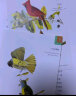 飞禽记 美国经典作家巴勒斯作品 配奥杜邦鸟类手绘彩图 新课标推荐阅读 实拍图