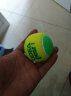 欧帝尔（odea）儿童网球软式网球球减压过渡初学训练用球散装袋装mini网球 欧帝尔橙色球12个散装 实拍图