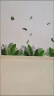 欧仕图（OUSHITU）墙贴自粘 绿叶踢脚线墙贴画贴纸小清新植物客厅背景墙壁装饰墙纸 清新绿植 晒单实拍图