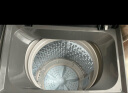 海信(Hisense)波轮洗衣机全自动8公斤 家用 宿舍出租房神器 大容量 脱水免清洗低噪 以旧换新 HB80DA35 实拍图