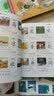 墨点字帖:幼儿学前1500常用汉字幼小衔接轻松学识字 起步篇+基础篇+提高篇+拓展篇（套装共4册） 实拍图