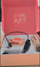 得胜（TAKSTAR） E20小蜜蜂扩音器教师专用无线讲课户外德小圆包胜 大功率上课女 E20W柔月白【无线版】 实拍图