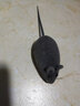 猫玩具 逗猫棒激光笔猫抓板猫转盘球宠物逗猫咪玩具套装 发声小老鼠 实拍图