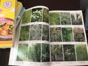 300种园林植物栽培与应用 实拍图