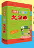 小学生多功能大字典 大字号 彩色插图 超大开本 新华字典 多功能字典 中小学生工具书2023新版 实拍图